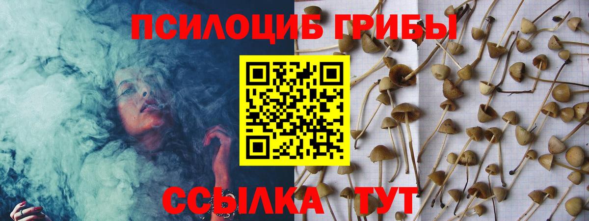 Ивантеевка  Псилоцибиновые грибы Magic Shrooms  Вход с VPN 